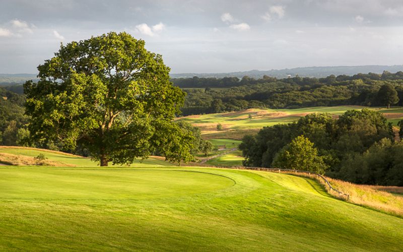 dale hill golf breaks