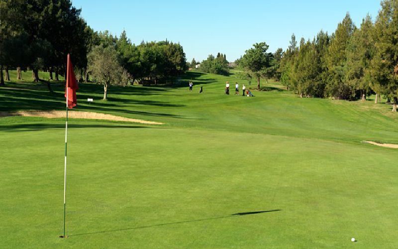alto golf course green