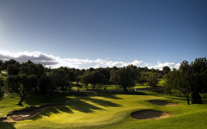 vale da pinta golf course green