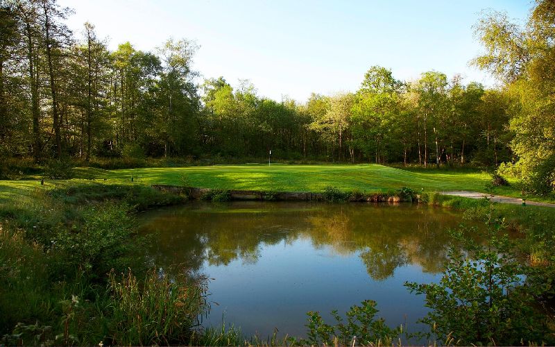 lingfield park golf course lake
