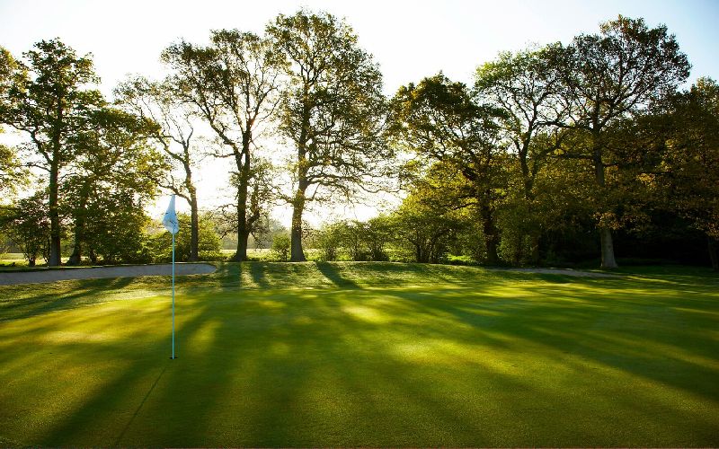 lingfield park golf course trees