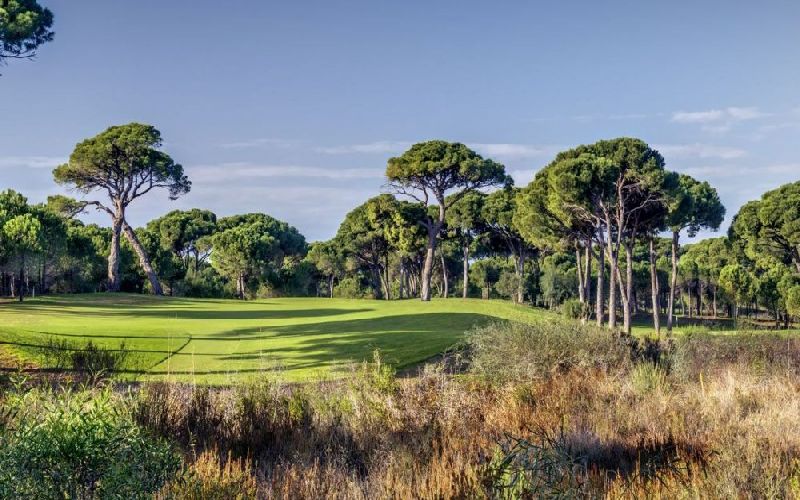 cornelia de luxe golf resort faldo course cornelia diamond golf