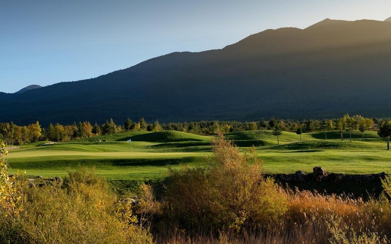 Pirin Golf course bush