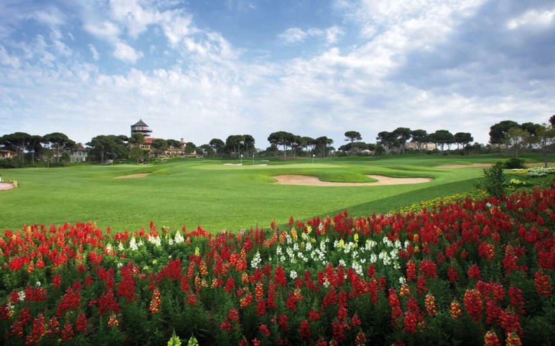 titanic golf course flowers