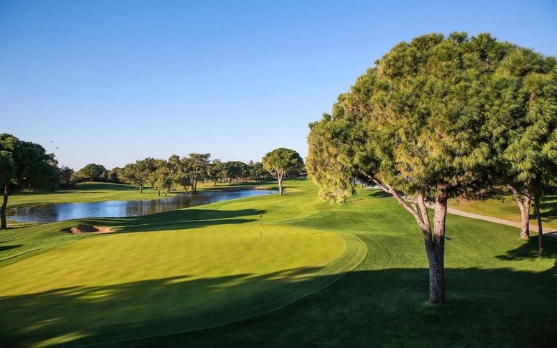 titanic golf course green tree