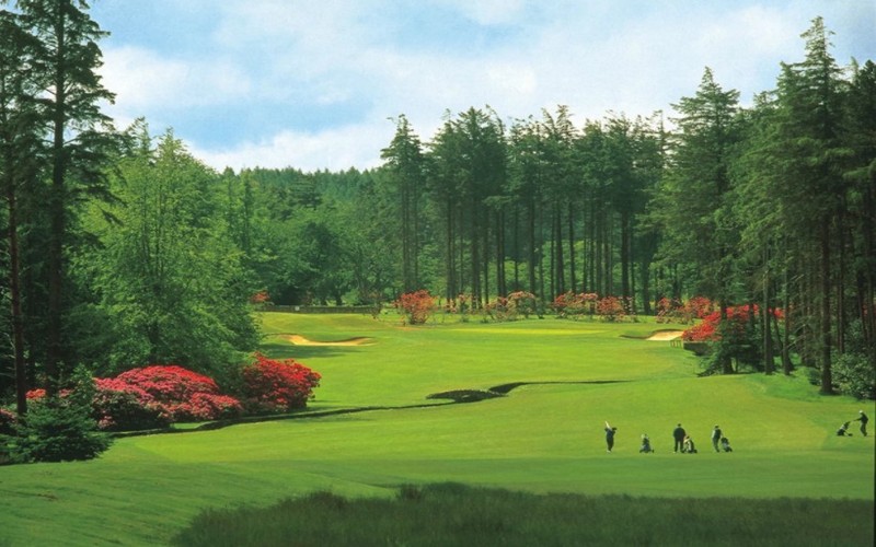 hunting & priestman golf courses fairway