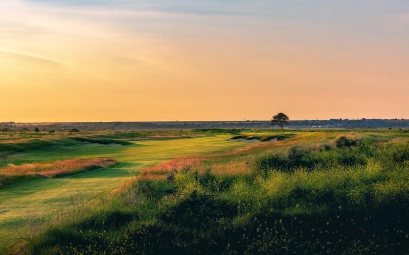 princes golf club rough