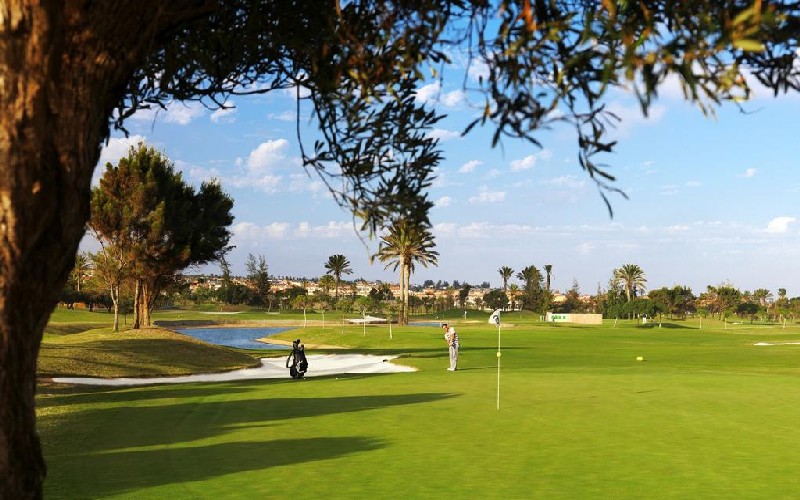 feurteventura golf course green