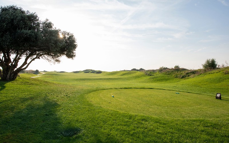 lykia links tee